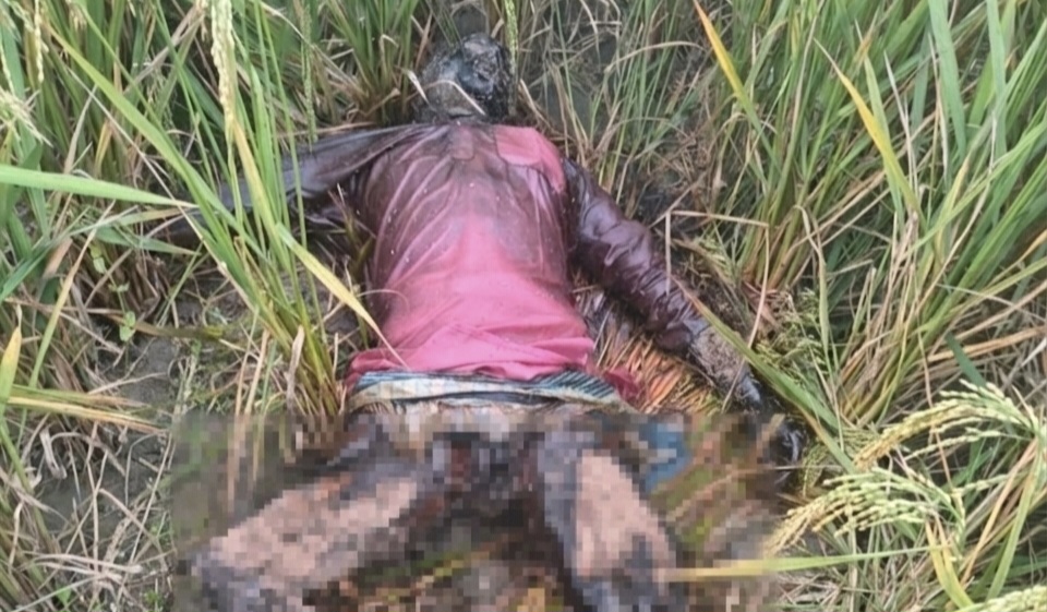 মোহনগঞ্জে হাওরে ধানক্ষেতে মিলল অজ্ঞাত ব্যাক্তির পঁচা লাশ
